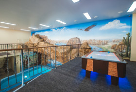 ����� ����������� �������